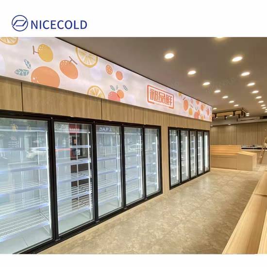 Réfrigérateur industriel congélateur à soufflet réfrigérateur de refroidissement congélateur à pied refroidisseur porte en verre stockage au froid solaire